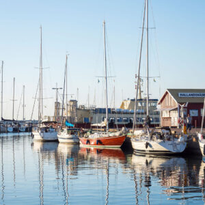 Båstar i Torekovs hamn. Foto: Louise Nordström Pettersson